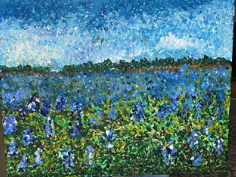 A field of bluebonnets